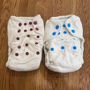 Thirsties Natural Fitted One Size Diaper (Plum and Ocean Blue Color)